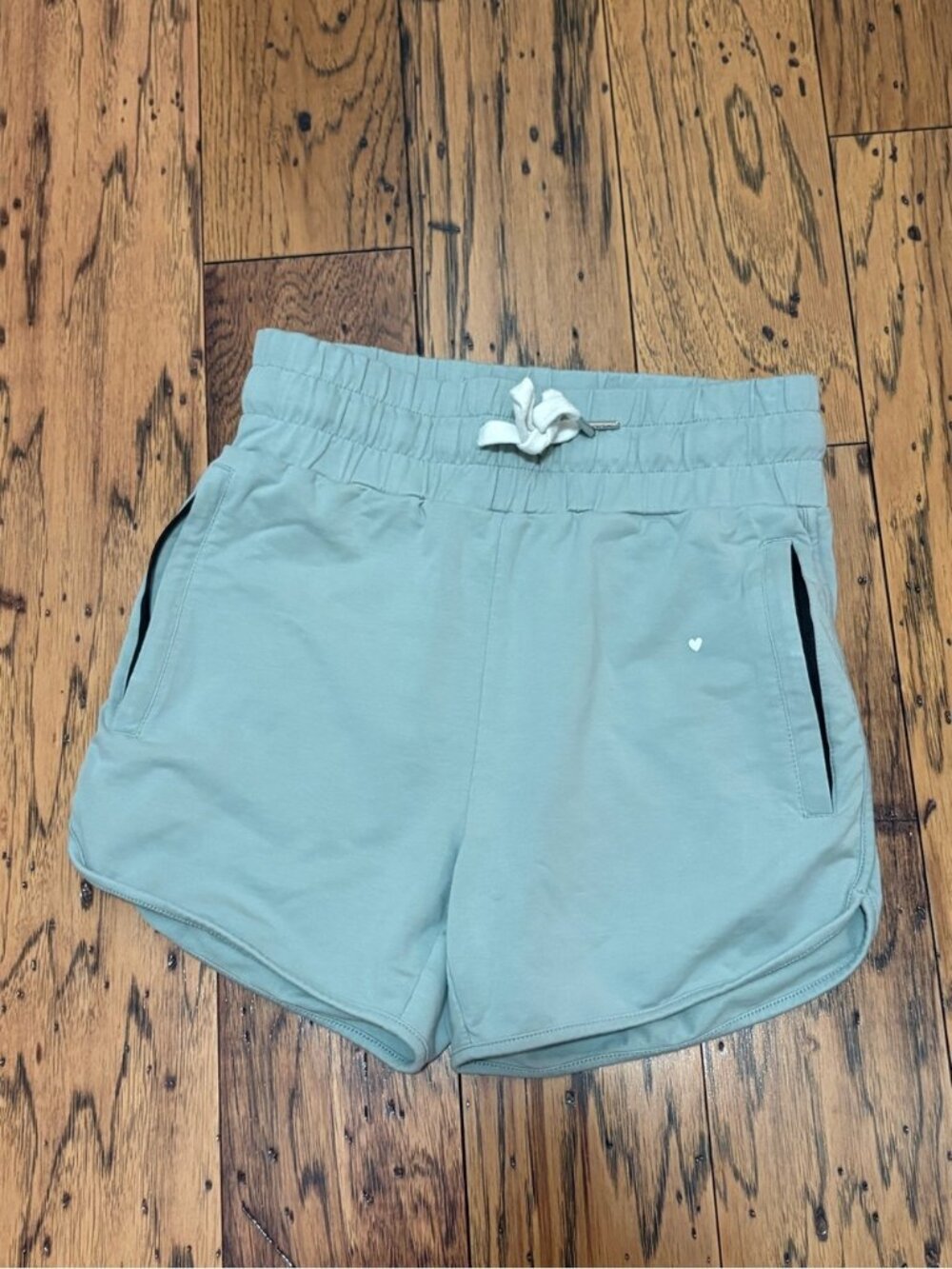 Love Fitness High Waist Drawstring Shorts (med, but fits small)